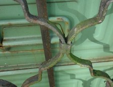 altes Tor Eisengitter